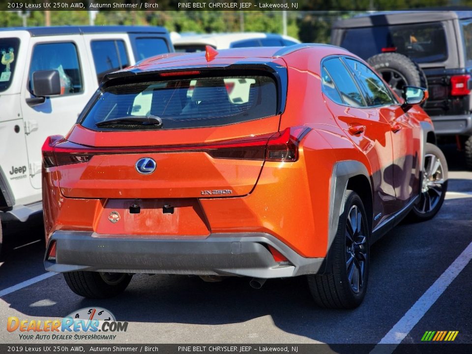 2019 Lexus UX 250h AWD Autumn Shimmer / Birch Photo #7