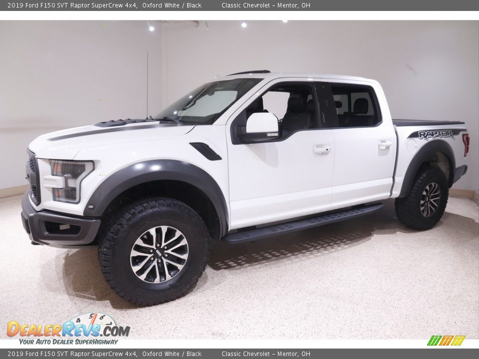 Front 3/4 View of 2019 Ford F150 SVT Raptor SuperCrew 4x4 Photo #3