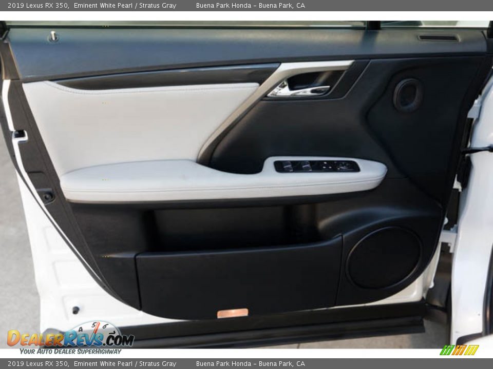 Door Panel of 2019 Lexus RX 350 Photo #28