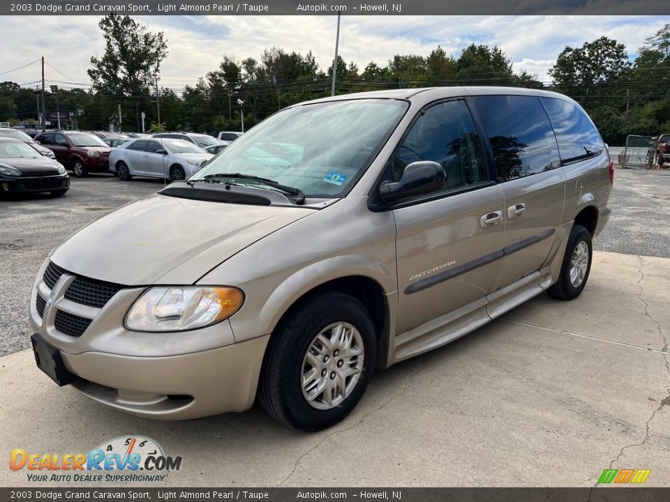 Light Almond Pearl 2003 Dodge Grand Caravan Sport Photo #12