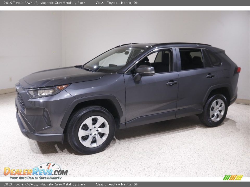 2019 Toyota RAV4 LE Magnetic Gray Metallic / Black Photo #3
