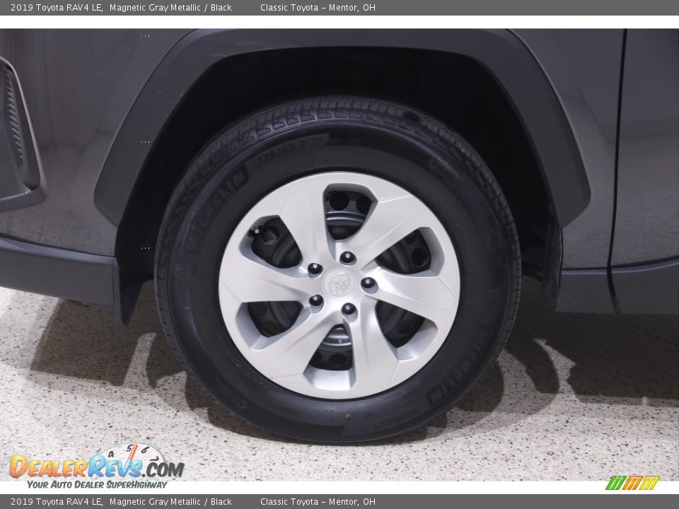 2019 Toyota RAV4 LE Magnetic Gray Metallic / Black Photo #19