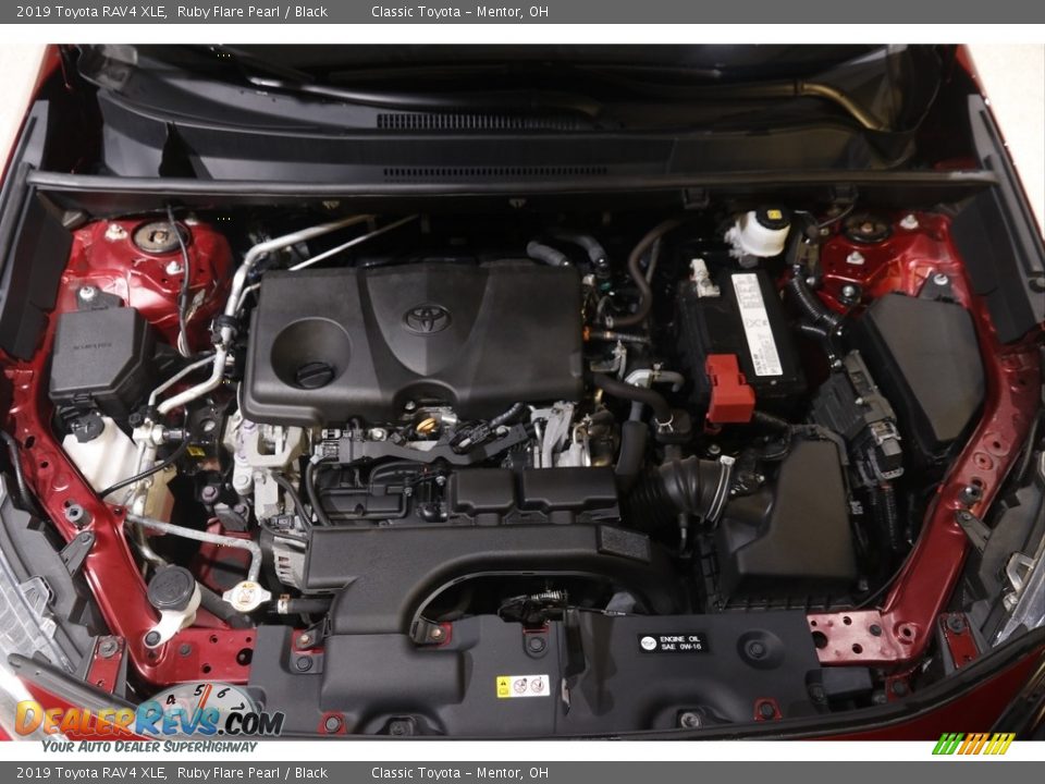 2019 Toyota RAV4 XLE Ruby Flare Pearl / Black Photo #19