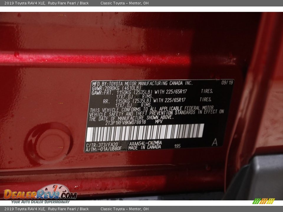 2019 Toyota RAV4 XLE Ruby Flare Pearl / Black Photo #20