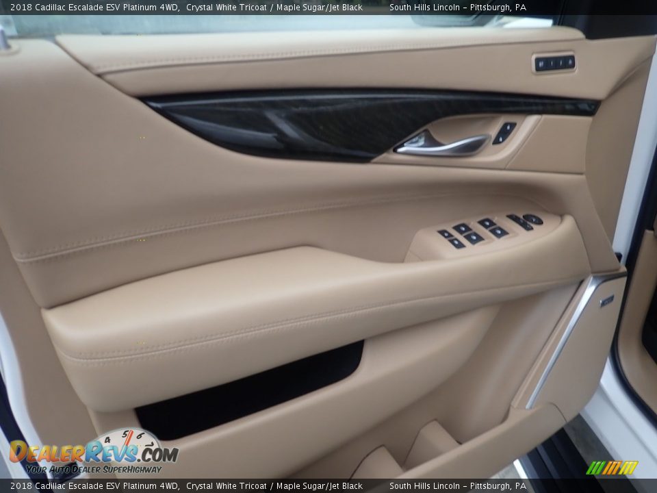 Door Panel of 2018 Cadillac Escalade ESV Platinum 4WD Photo #19