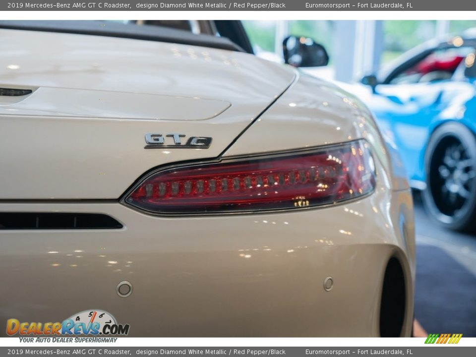 2019 Mercedes-Benz AMG GT C Roadster designo Diamond White Metallic / Red Pepper/Black Photo #17