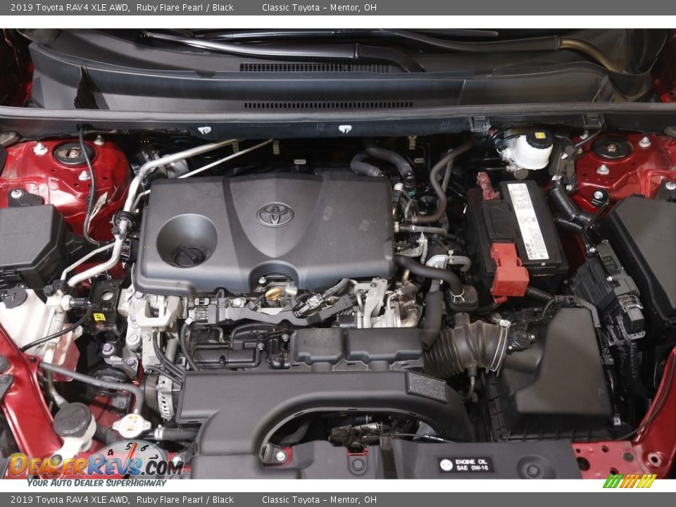 2019 Toyota RAV4 XLE AWD Ruby Flare Pearl / Black Photo #18