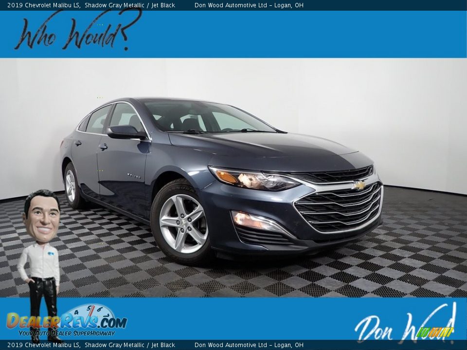 2019 Chevrolet Malibu LS Shadow Gray Metallic / Jet Black Photo #1