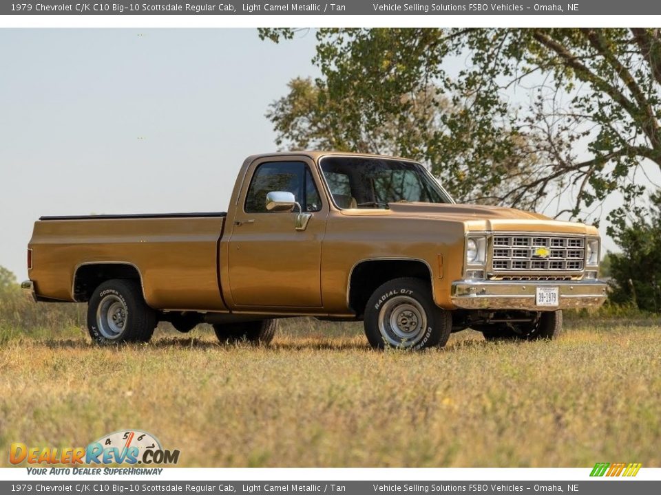 Light Camel Metallic 1979 Chevrolet C/K C10 Big-10 Scottsdale Regular Cab Photo #1