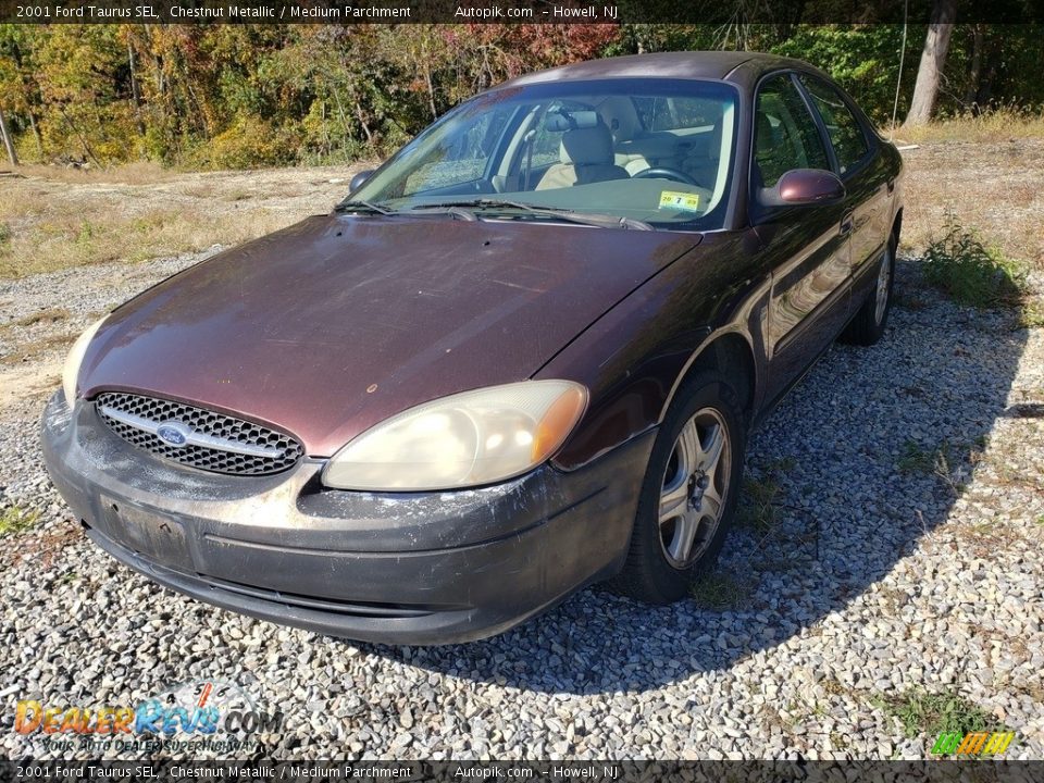 2001 Ford Taurus SEL Chestnut Metallic / Medium Parchment Photo #1