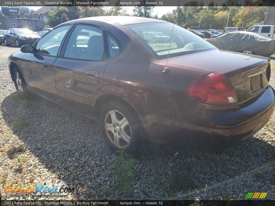 2001 Ford Taurus SEL Chestnut Metallic / Medium Parchment Photo #3