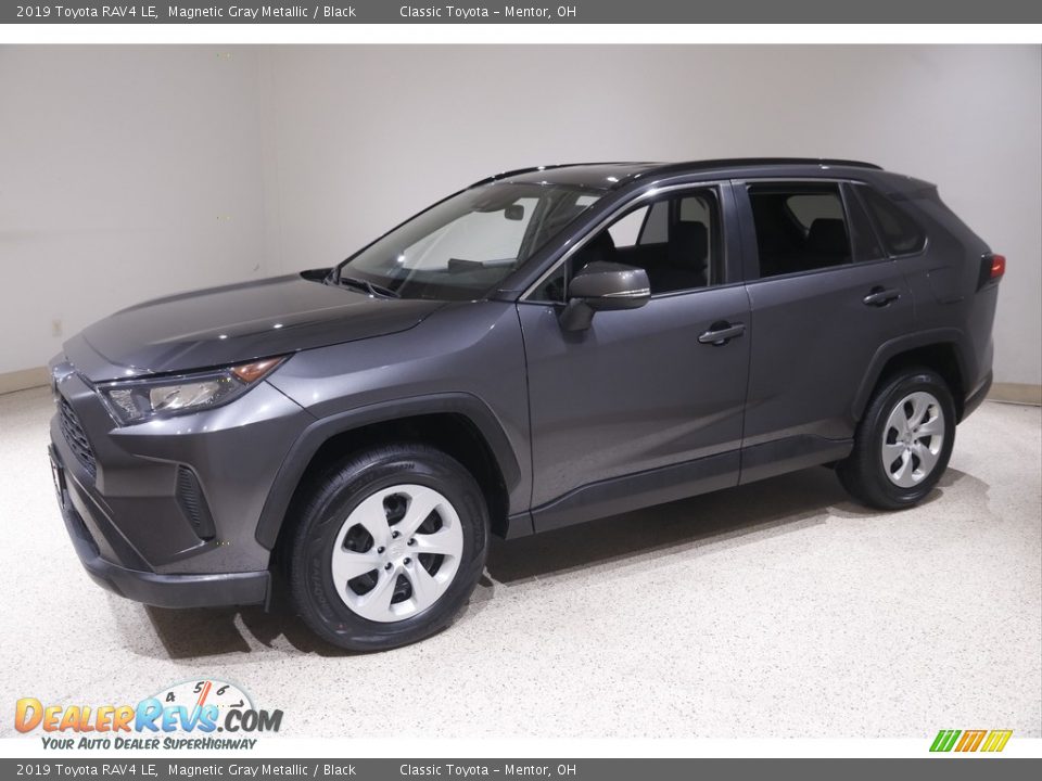 2019 Toyota RAV4 LE Magnetic Gray Metallic / Black Photo #3