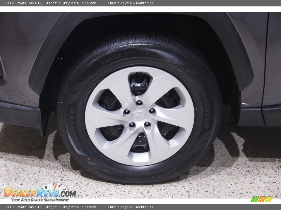 2019 Toyota RAV4 LE Magnetic Gray Metallic / Black Photo #19