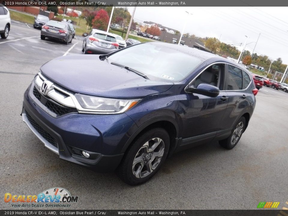 2019 Honda CR-V EX-L AWD Obsidian Blue Pearl / Gray Photo #6