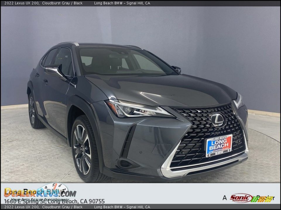 2022 Lexus UX 200 Cloudburst Gray / Black Photo #1