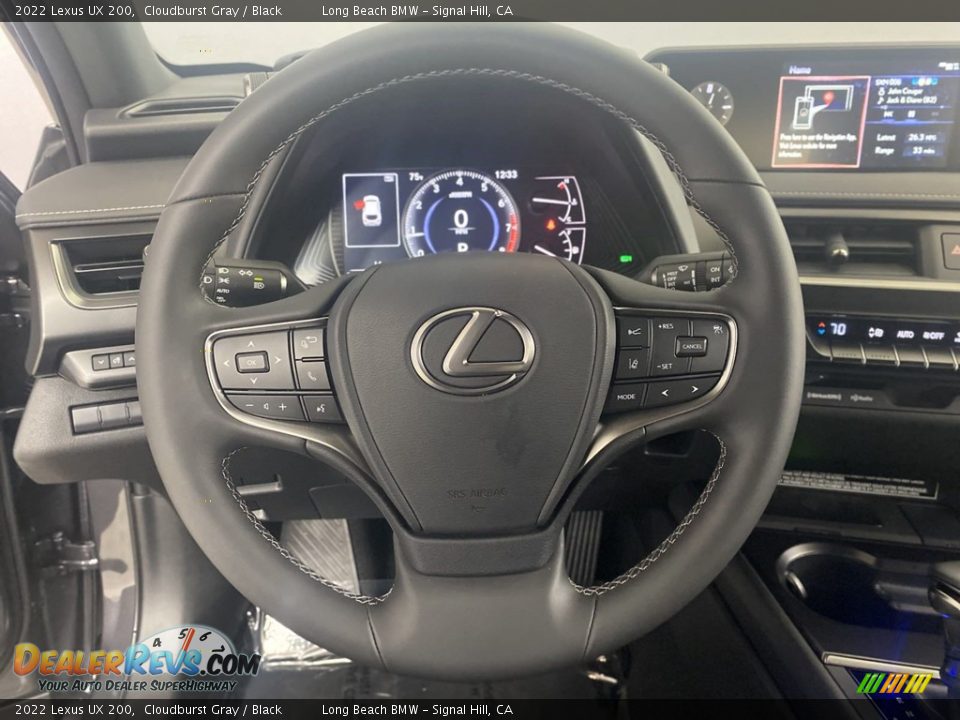 2022 Lexus UX 200 Steering Wheel Photo #17