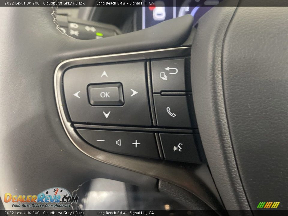 2022 Lexus UX 200 Steering Wheel Photo #18