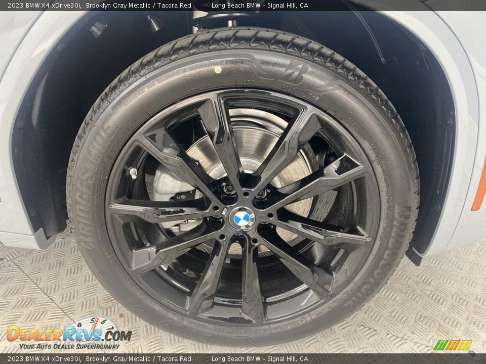 2023 BMW X4 xDrive30i Wheel Photo #3