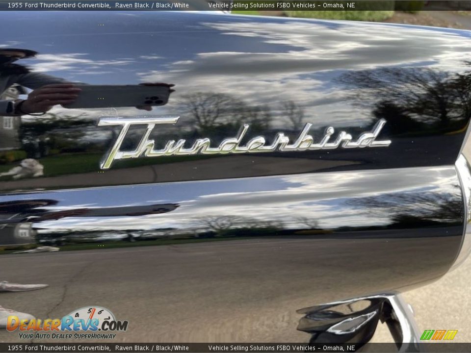 1955 Ford Thunderbird Convertible Logo Photo #4