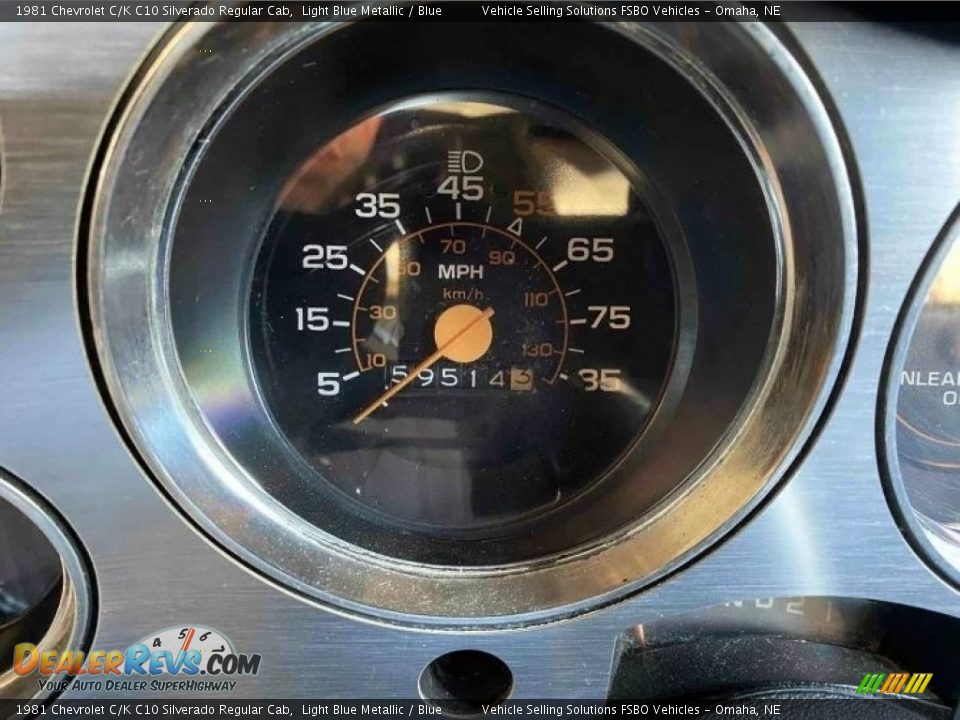 1981 Chevrolet C/K C10 Silverado Regular Cab Gauges Photo #8