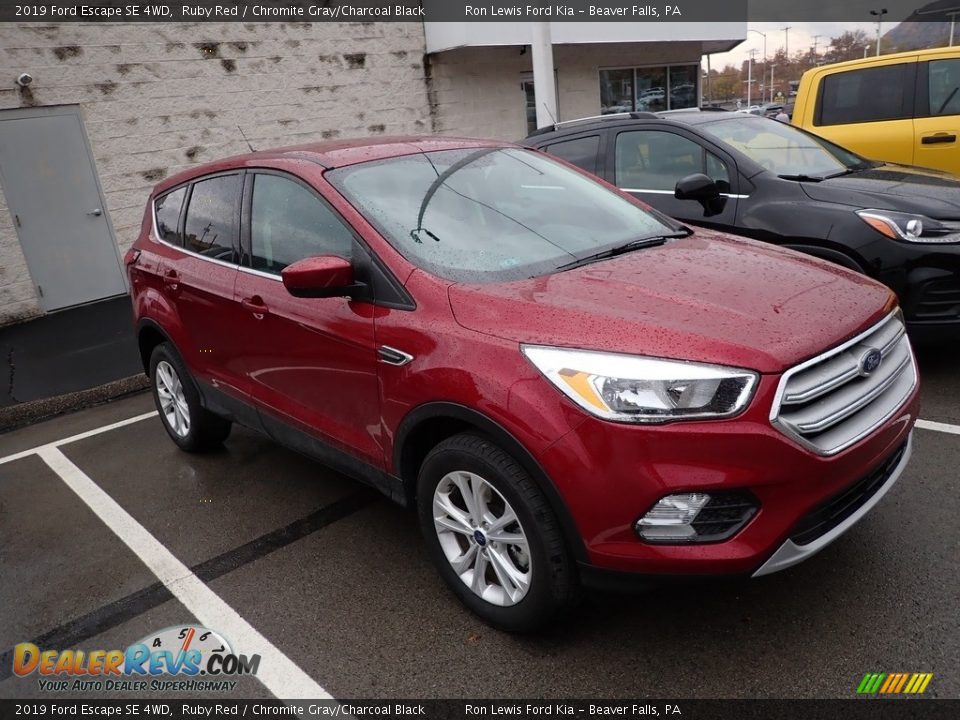 2019 Ford Escape SE 4WD Ruby Red / Chromite Gray/Charcoal Black Photo #3