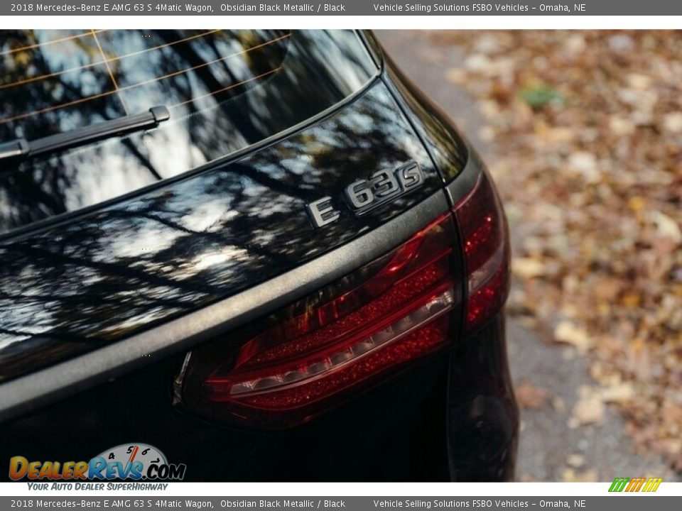 2018 Mercedes-Benz E AMG 63 S 4Matic Wagon Logo Photo #36