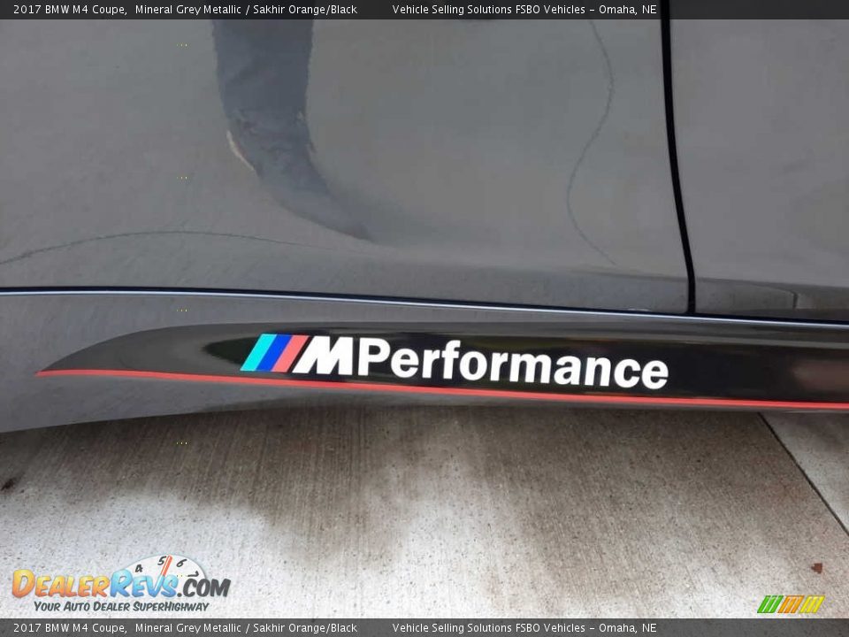 2017 BMW M4 Coupe Logo Photo #30