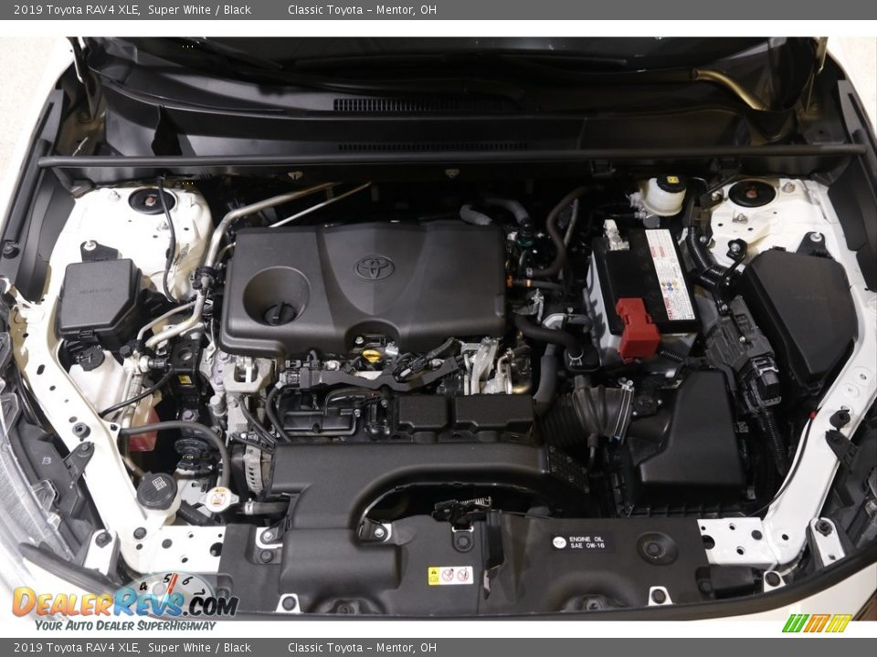 2019 Toyota RAV4 XLE Super White / Black Photo #20