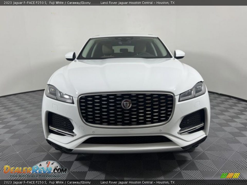 2023 Jaguar F-PACE P250 S Fuji White / Caraway/Ebony Photo #8