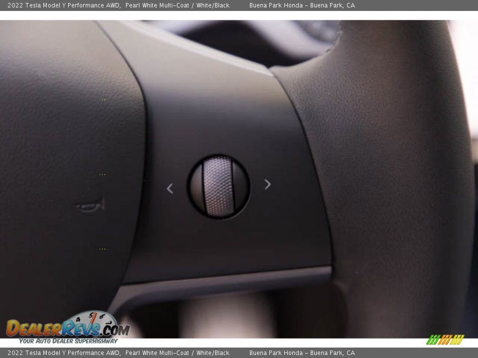 2022 Tesla Model Y Performance AWD Steering Wheel Photo #15