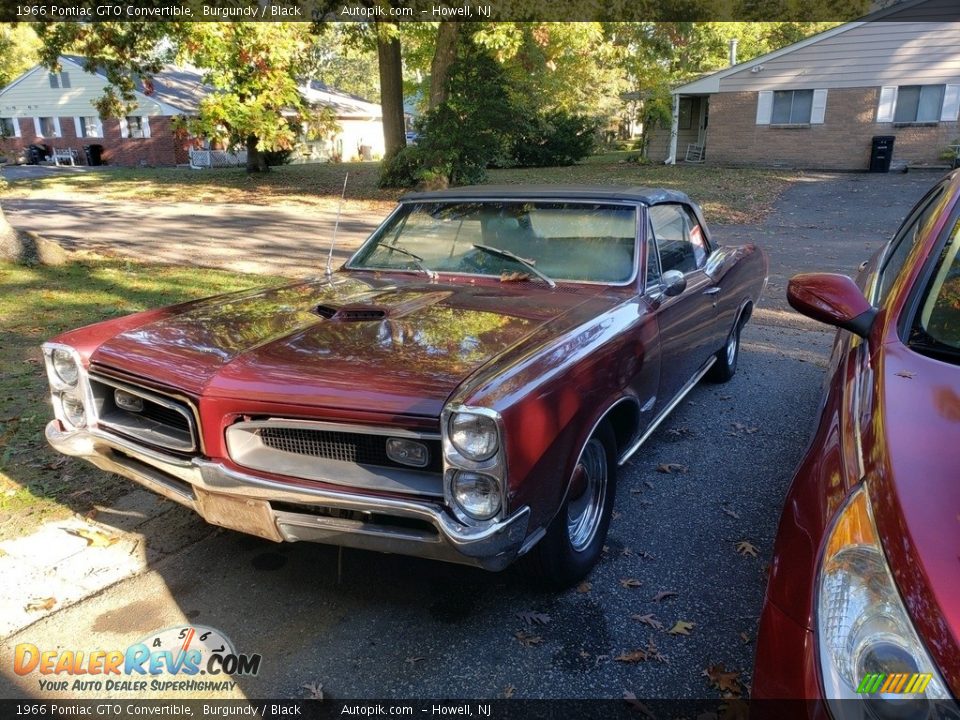 1966 Pontiac GTO Convertible Burgundy / Black Photo #2