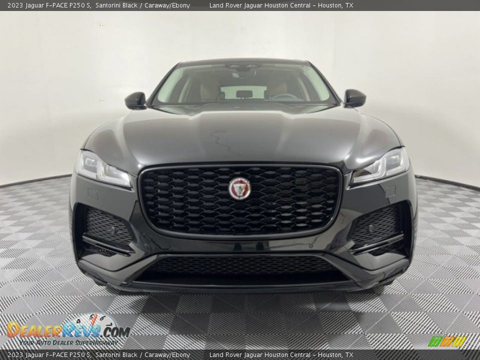 2023 Jaguar F-PACE P250 S Santorini Black / Caraway/Ebony Photo #8