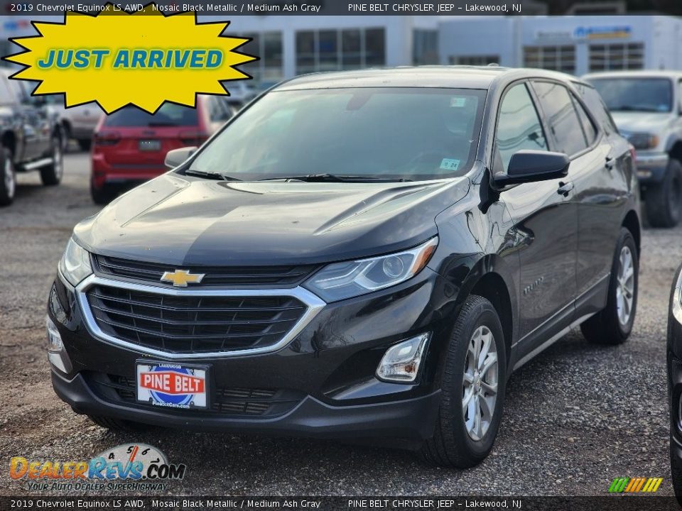 2019 Chevrolet Equinox LS AWD Mosaic Black Metallic / Medium Ash Gray Photo #1