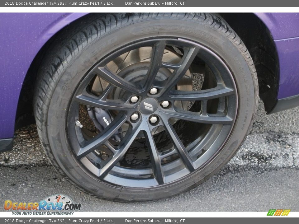 2018 Dodge Challenger T/A 392 Plum Crazy Pearl / Black Photo #21