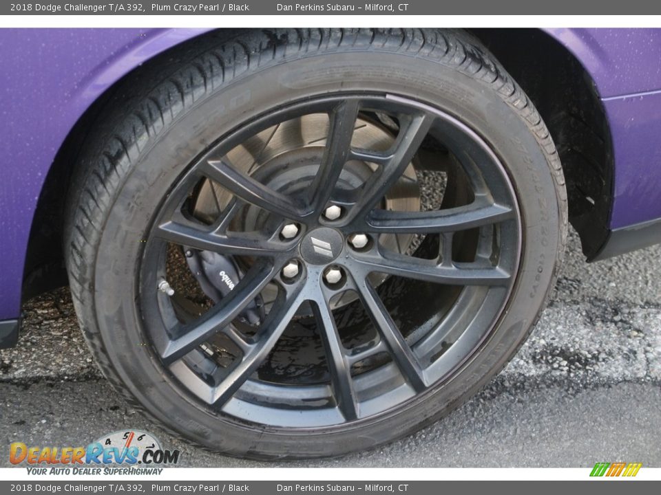 2018 Dodge Challenger T/A 392 Plum Crazy Pearl / Black Photo #22
