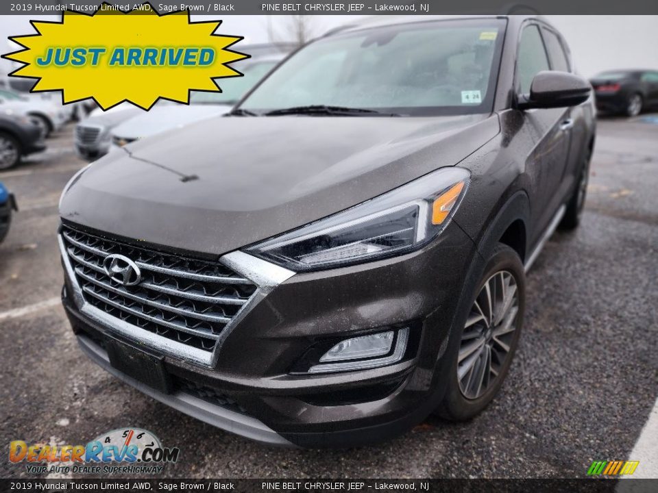 2019 Hyundai Tucson Limited AWD Sage Brown / Black Photo #1