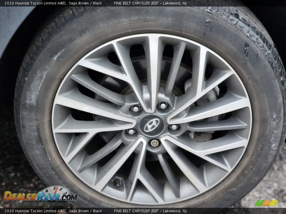 2019 Hyundai Tucson Limited AWD Sage Brown / Black Photo #3