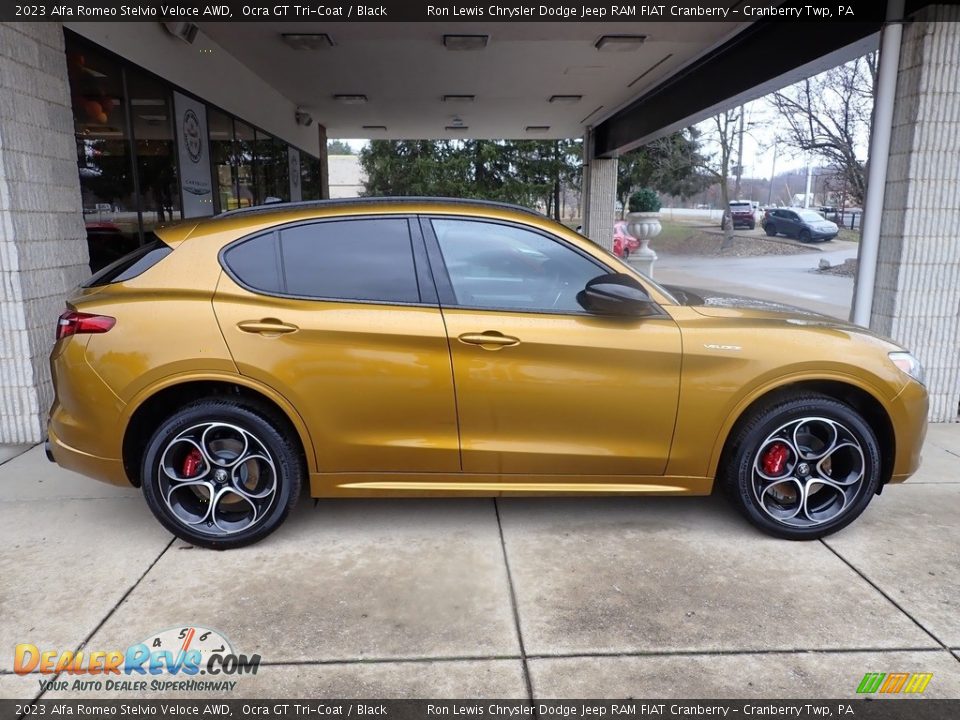 Ocra GT Tri-Coat 2023 Alfa Romeo Stelvio Veloce AWD Photo #4