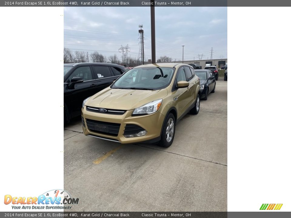 2014 Ford Escape SE 1.6L EcoBoost 4WD Karat Gold / Charcoal Black Photo #1