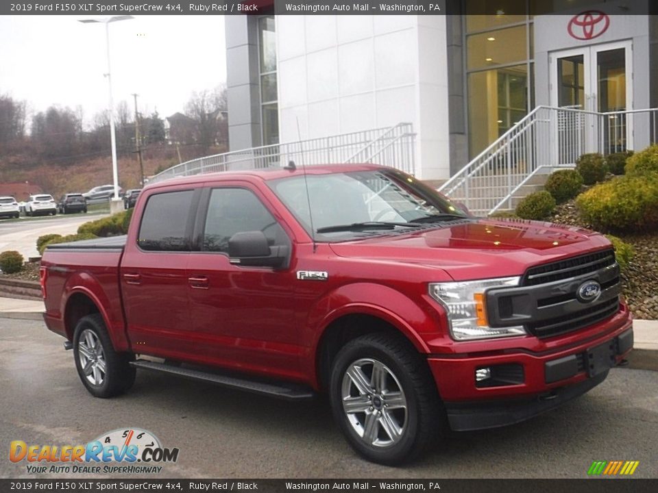 2019 Ford F150 XLT Sport SuperCrew 4x4 Ruby Red / Black Photo #1