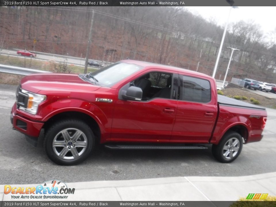 2019 Ford F150 XLT Sport SuperCrew 4x4 Ruby Red / Black Photo #16