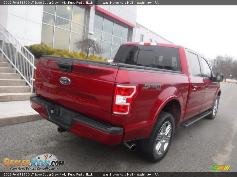 2019 Ford F150 XLT Sport SuperCrew 4x4 Ruby Red / Black Photo #18