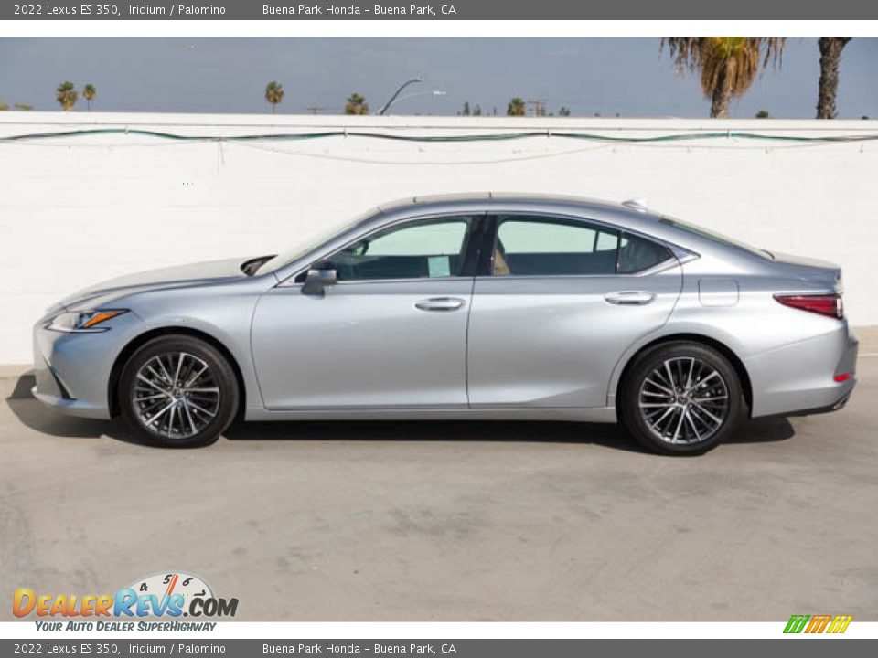 2022 Lexus ES 350 Iridium / Palomino Photo #10