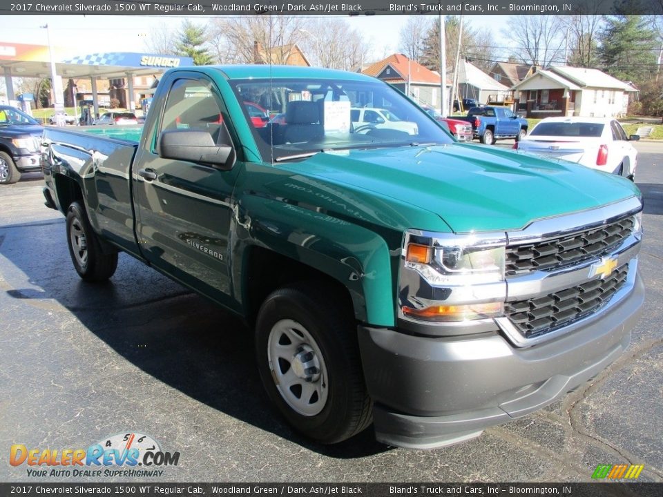 2017 Chevrolet Silverado 1500 WT Regular Cab Woodland Green / Dark Ash/Jet Black Photo #5