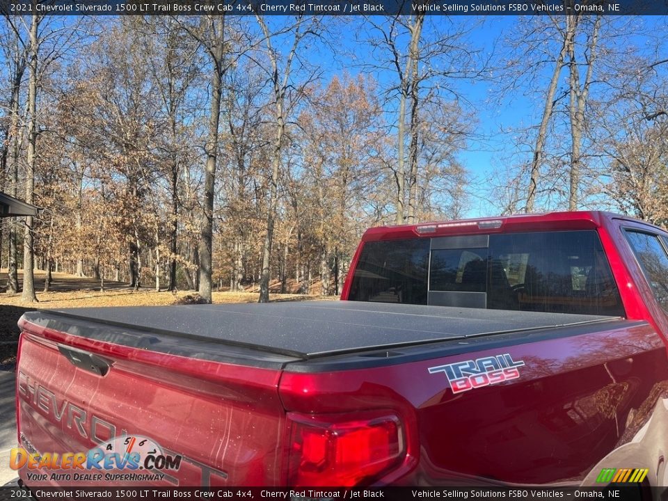 2021 Chevrolet Silverado 1500 LT Trail Boss Crew Cab 4x4 Logo Photo #16