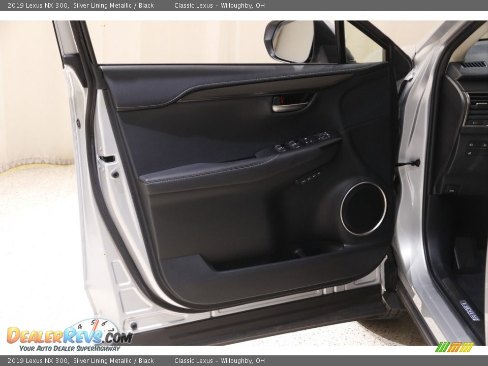 Door Panel of 2019 Lexus NX 300 Photo #4