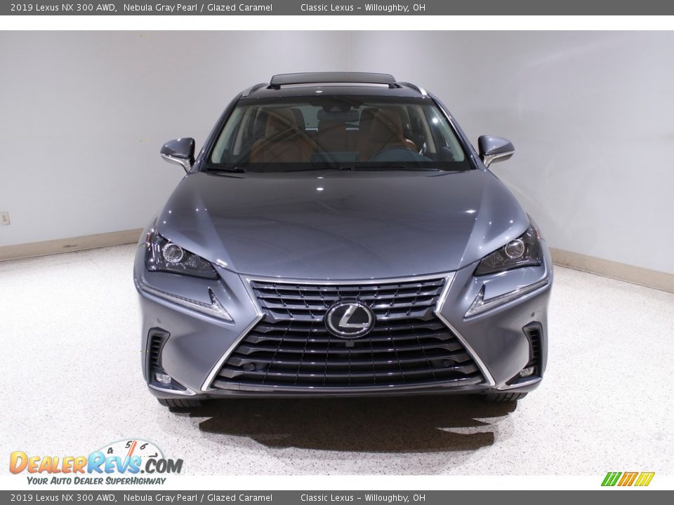 2019 Lexus NX 300 AWD Nebula Gray Pearl / Glazed Caramel Photo #2