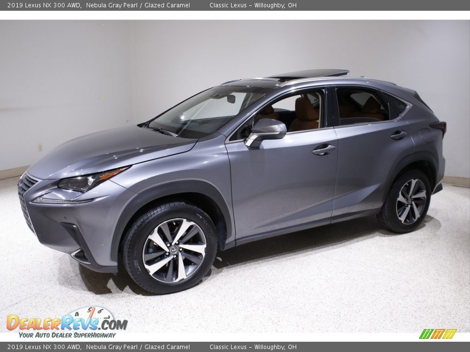 2019 Lexus NX 300 AWD Nebula Gray Pearl / Glazed Caramel Photo #3