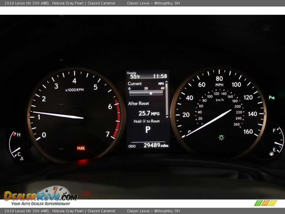 2019 Lexus NX 300 AWD Nebula Gray Pearl / Glazed Caramel Photo #8