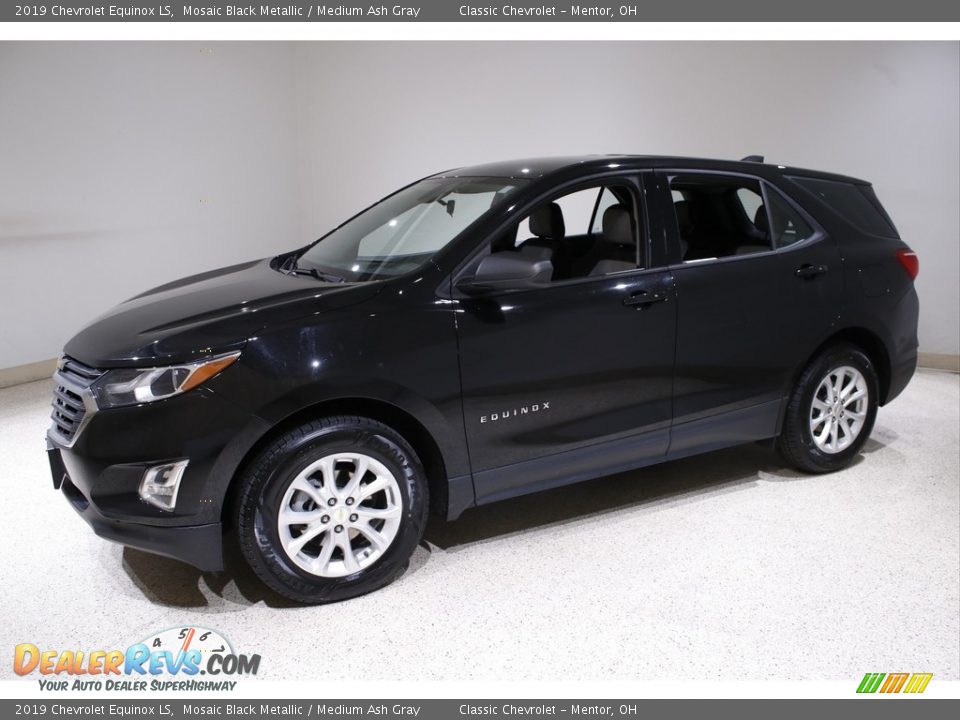 2019 Chevrolet Equinox LS Mosaic Black Metallic / Medium Ash Gray Photo #3